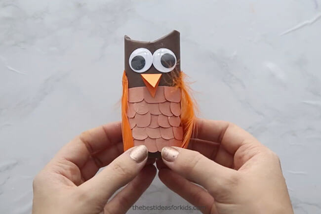 Winter Owl Craft Idea Using Toilet Paper Roll