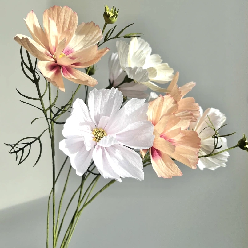 Delicate Peach and White Crepe Paper Cosmos