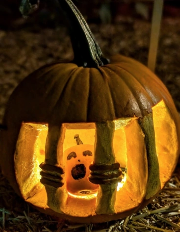 Owl-Faced Pumpkin: A Porchside Guardian