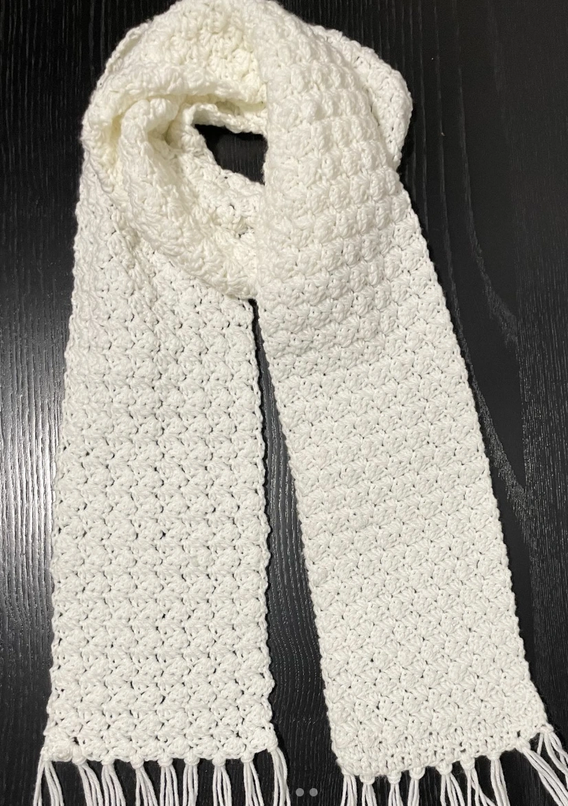 Chunky Color Block Crochet Scarf with Tassel Fringe