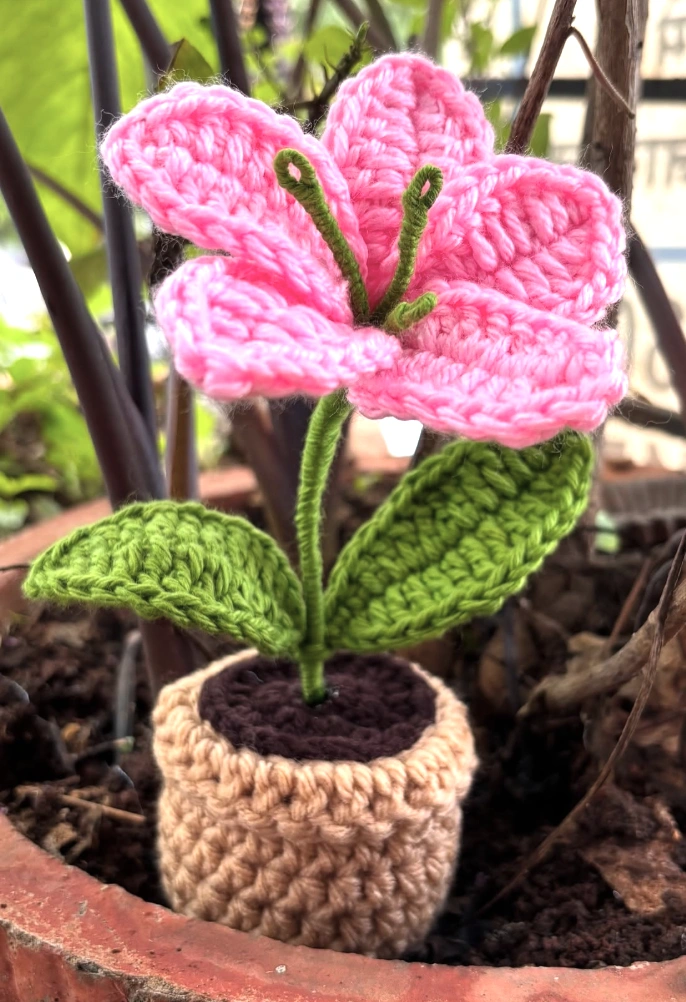 Soft Pink Crochet Lily with Detailed Center