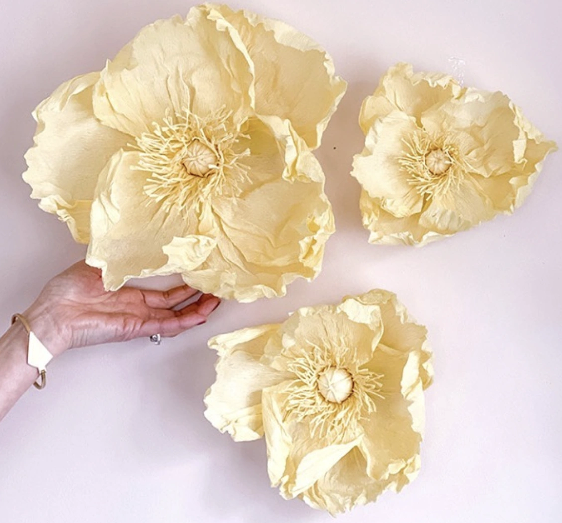 Oversized Cream Paper Flower Wall Decor Set