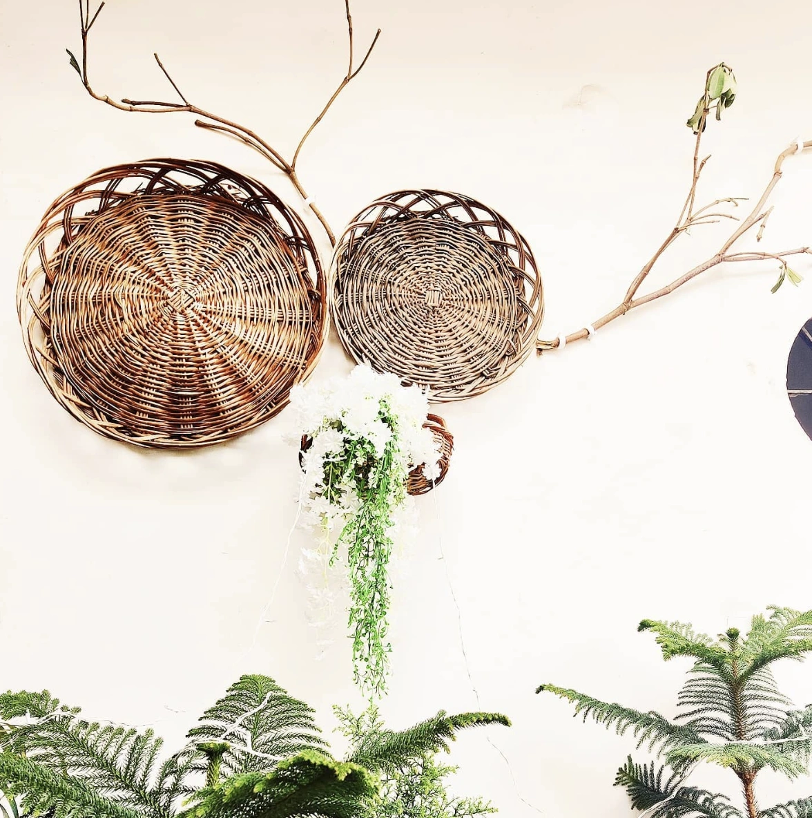 Woven Basket Wall Art with Floral Accent and Branch Detail