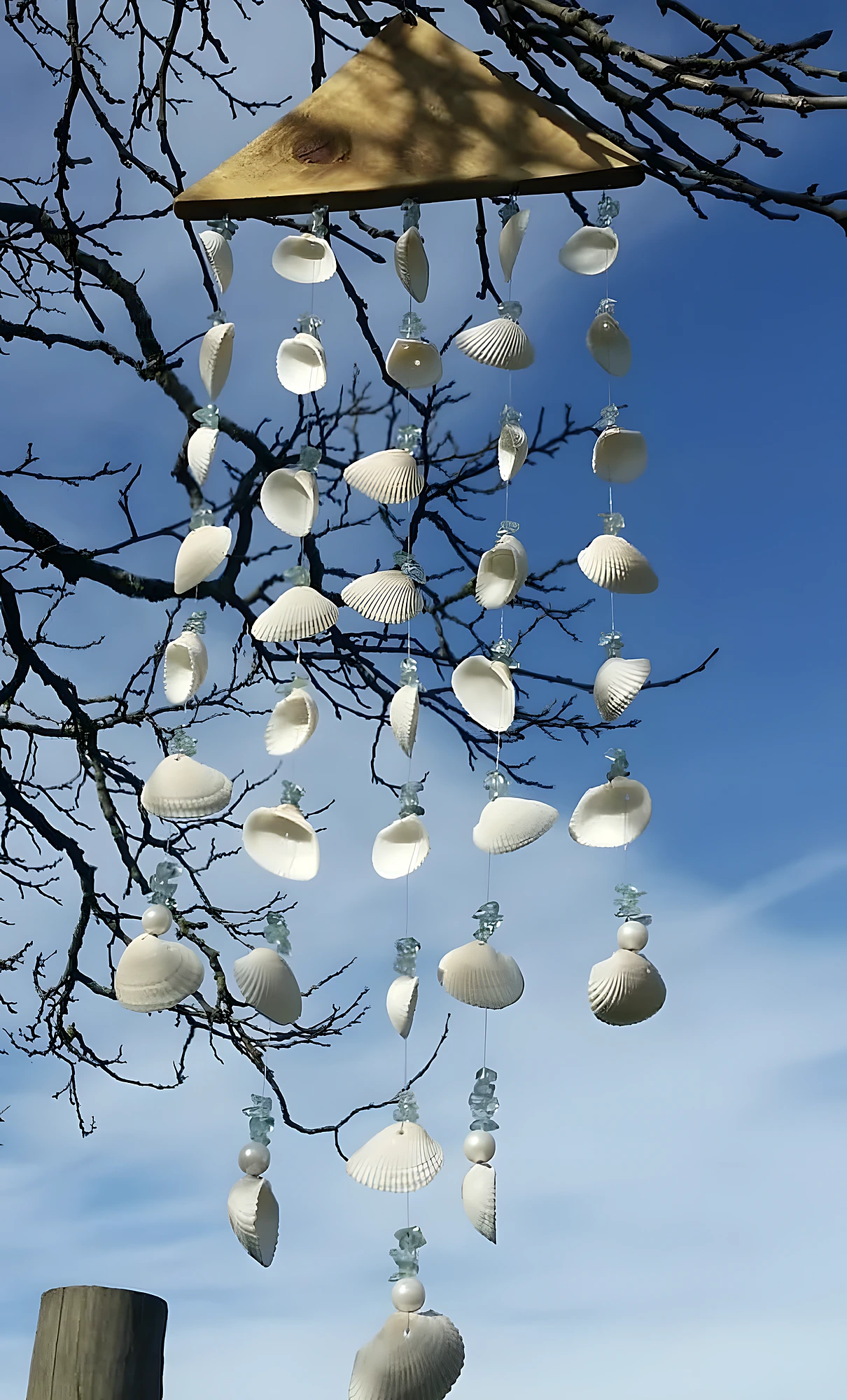 Shell Wind Chime With Soft White Tones and Driftwood Energy