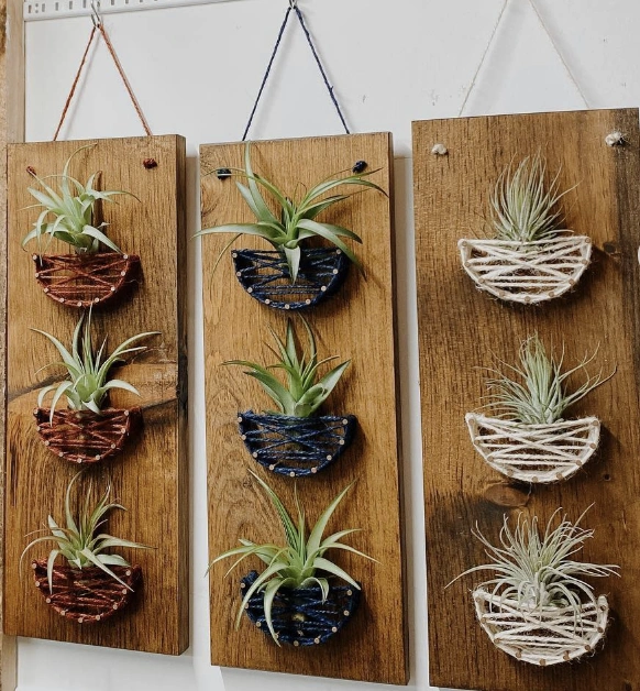 String Art Air Plant Hangers on Reclaimed Wood