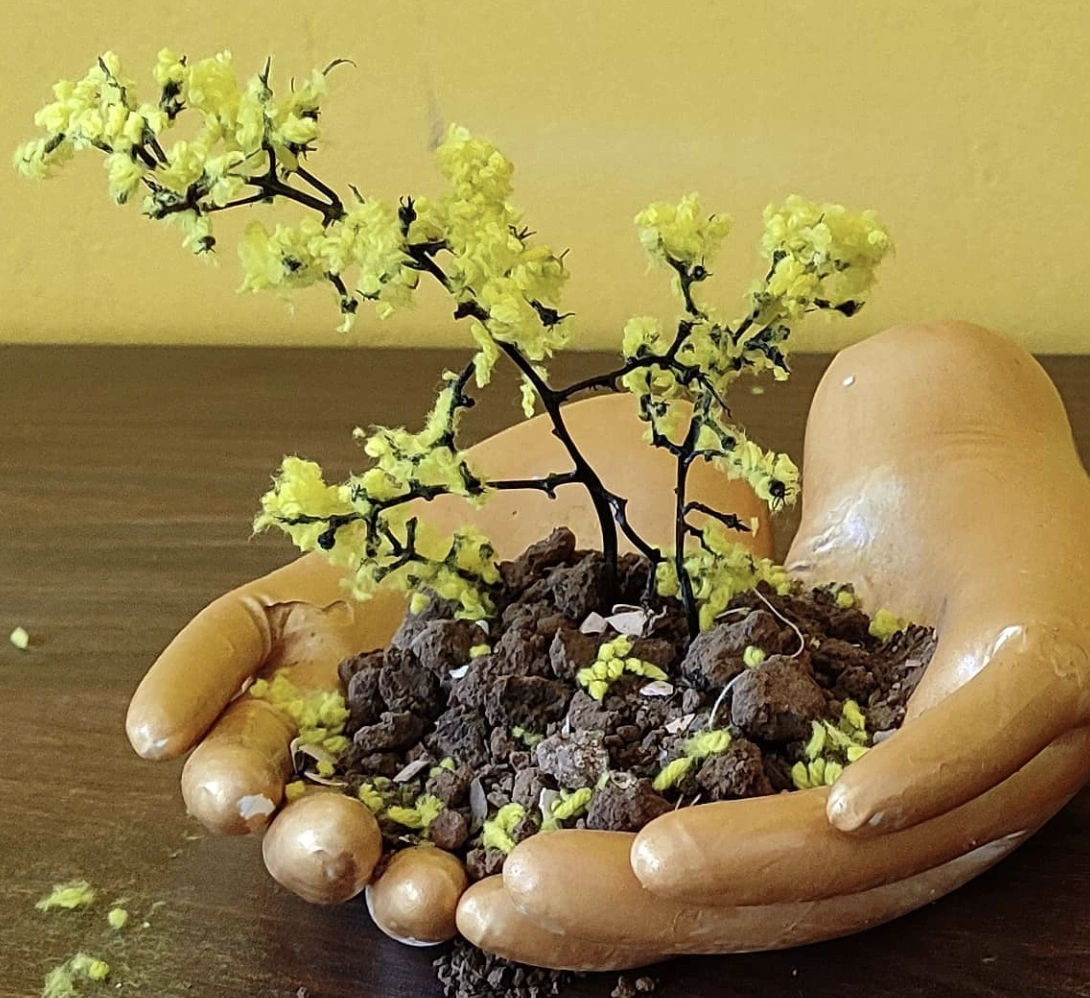 Aqua Cement Planter with Pepperomia Plant